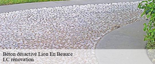 Béton désactivé