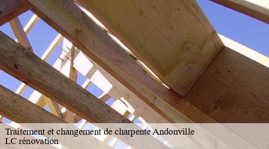 Traitement et changement de charpente