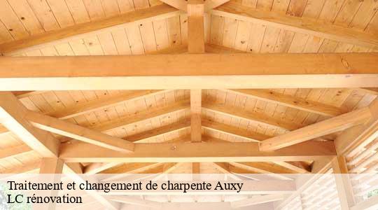 Traitement et changement de charpente