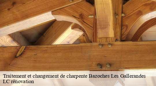 Traitement et changement de charpente