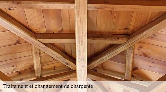 Traitement et changement de charpente