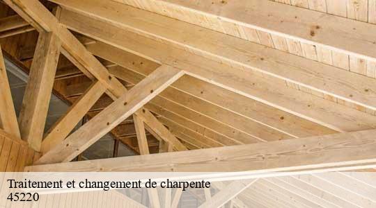 Traitement et changement de charpente