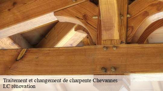 Traitement et changement de charpente