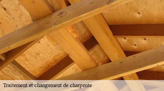 Traitement et changement de charpente