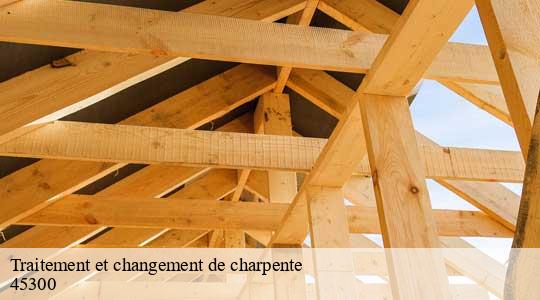 Traitement et changement de charpente