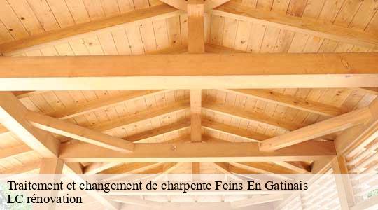 Traitement et changement de charpente