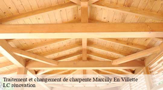 Traitement et changement de charpente