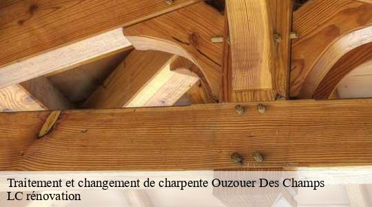 Traitement et changement de charpente