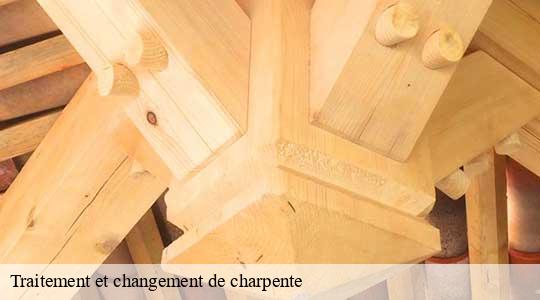 Traitement et changement de charpente