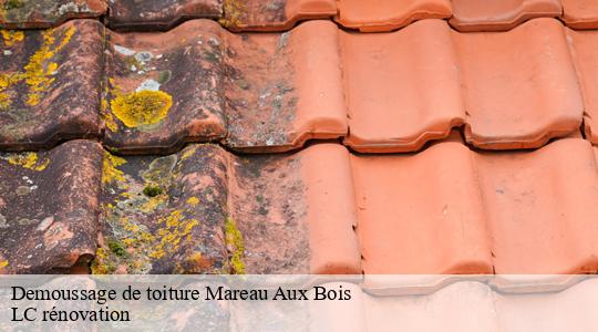 Demoussage de toiture
