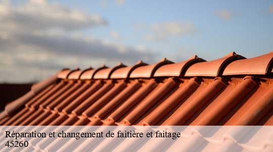 Réparation et changement de faitière et faitage