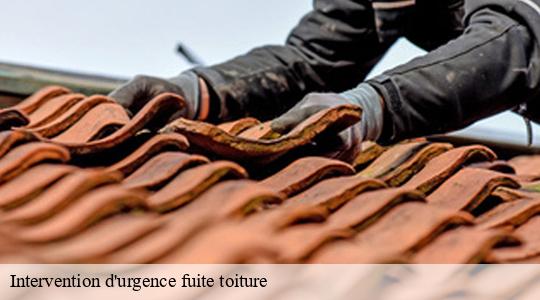 Intervention d'urgence fuite toiture 