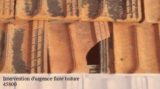 Intervention d'urgence fuite toiture 