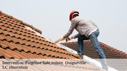 Intervention d'urgence fuite toiture 