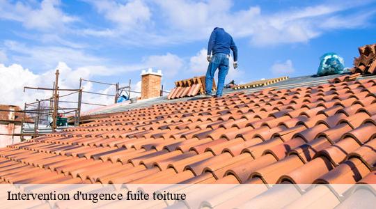 Intervention d'urgence fuite toiture 