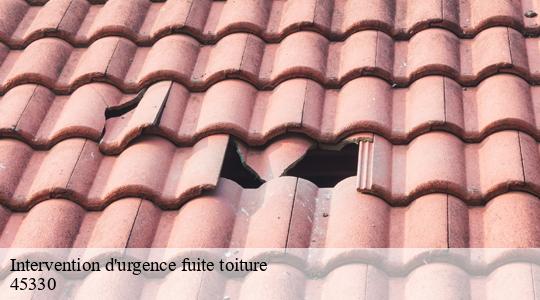 Intervention d'urgence fuite toiture 