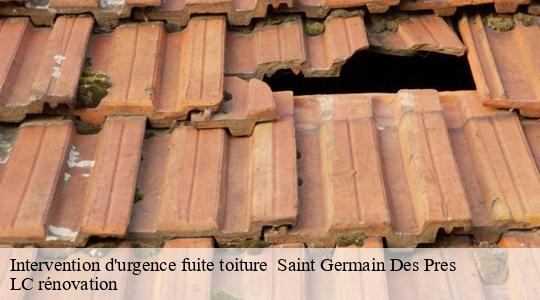 Intervention d'urgence fuite toiture 