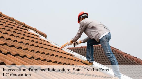 Intervention d'urgence fuite toiture 