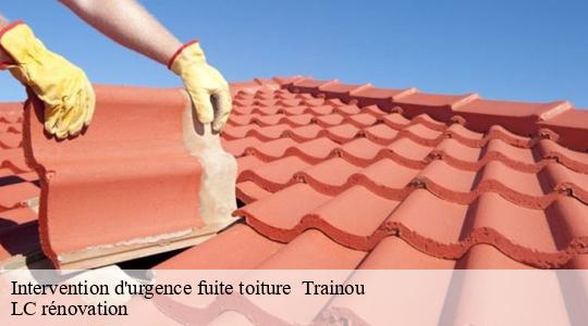 Intervention d'urgence fuite toiture 