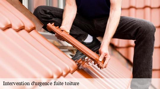 Intervention d'urgence fuite toiture 