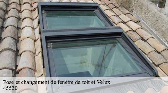 Pose et changement de fenêtre de toit et Velux