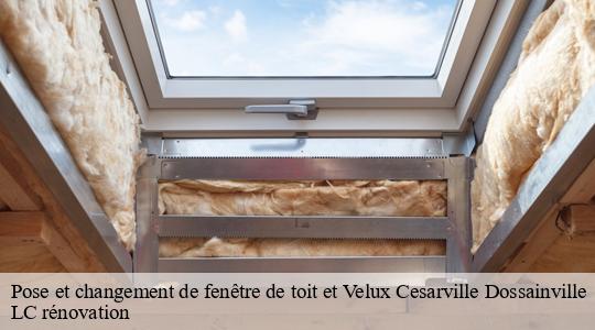 Pose et changement de fenêtre de toit et Velux