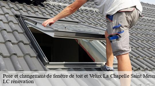 Pose et changement de fenêtre de toit et Velux