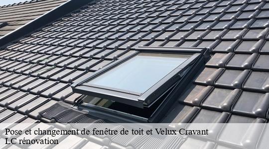 Pose et changement de fenêtre de toit et Velux