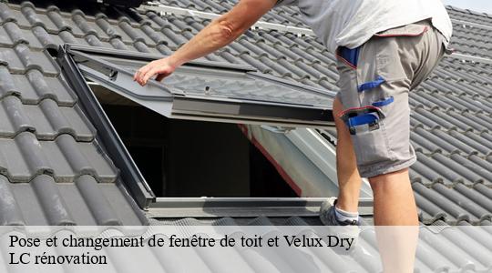 Pose et changement de fenêtre de toit et Velux