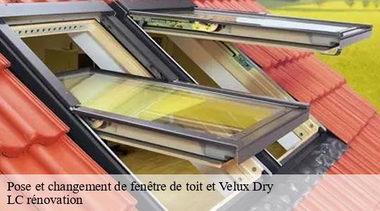 Pose et changement de fenêtre de toit et Velux