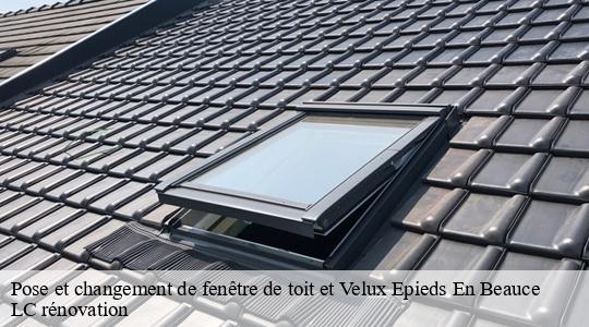 Pose et changement de fenêtre de toit et Velux