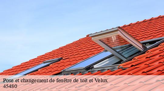 Pose et changement de fenêtre de toit et Velux