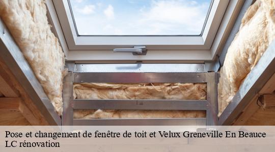 Pose et changement de fenêtre de toit et Velux