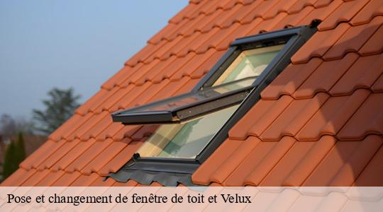 Pose et changement de fenêtre de toit et Velux