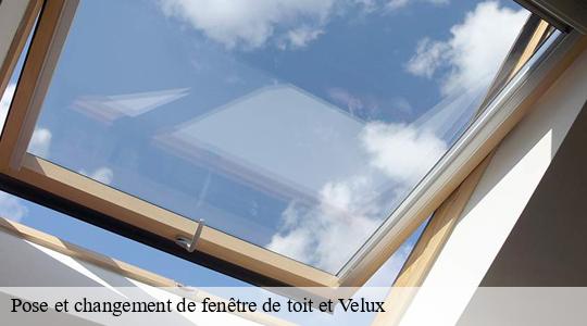 Pose et changement de fenêtre de toit et Velux