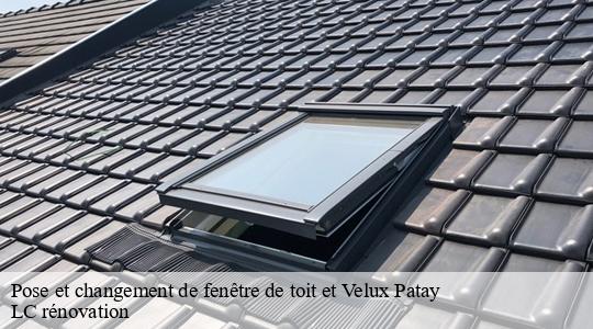 Pose et changement de fenêtre de toit et Velux