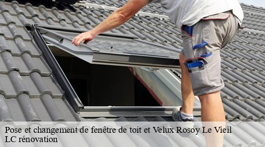 Pose et changement de fenêtre de toit et Velux