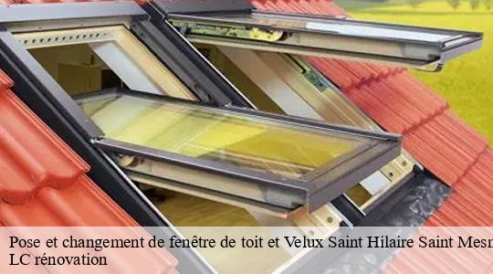 Pose et changement de fenêtre de toit et Velux