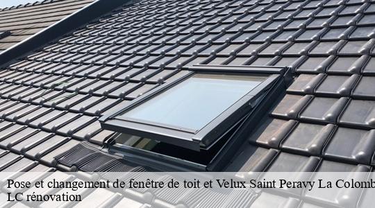 Pose et changement de fenêtre de toit et Velux