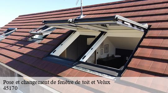Pose et changement de fenêtre de toit et Velux